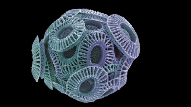 Desktop sea 20spray 20main 16x9