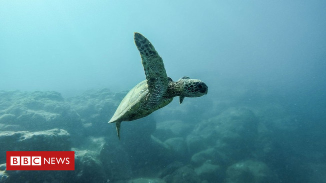 Desktop  103280305 jeremy bishop 131042 unsplash