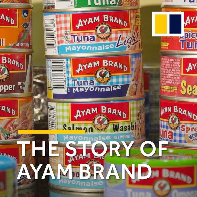 Desktop 34129025 10156440017704820 6779762196365705216 n