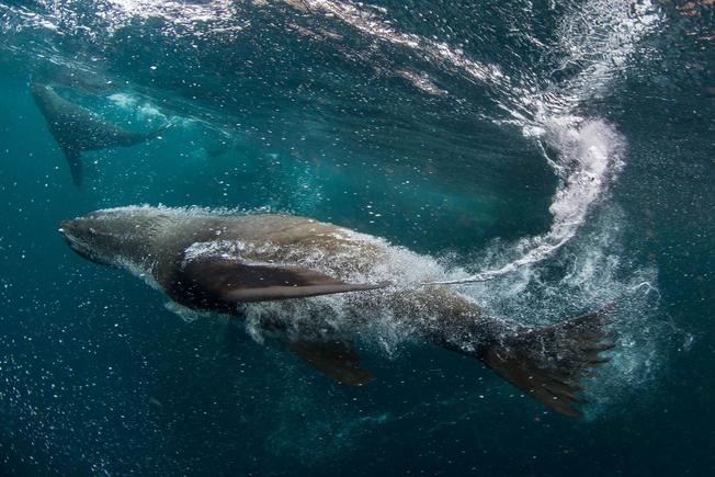 Desktop 04 argentina mpa untitled 2319.ngsversion.1544738404041.adapt.1900.1