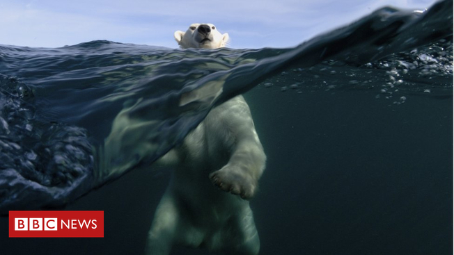 Desktop  104625305 gettyimages 483705246