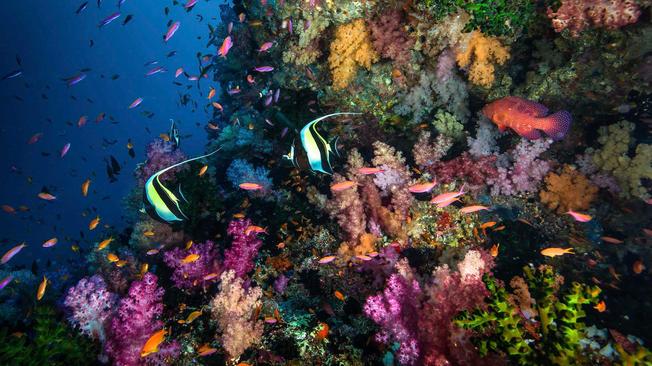 Desktop header 267a9619