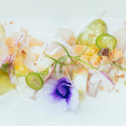 Desktop dietary transformation