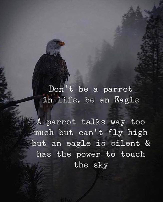 Desktop 50543019 1124825057679017 7850562105206898688 o