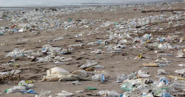 Desktop https 3a 2f 2fblogs images.forbes.com 2fanagarciavaldivia 2ffiles 2f2019 2f01 2fpixabay enviroment beach pollution