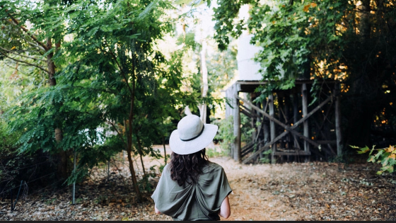 Desktop untitled design