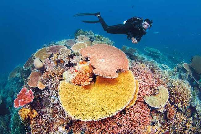 Desktop facts about great barrier reef