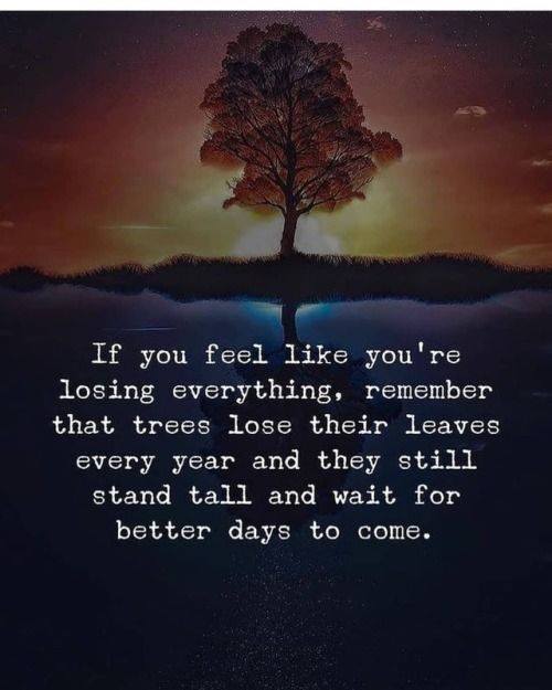 Desktop 52717564 1523598034442356 1602999481266077696 n