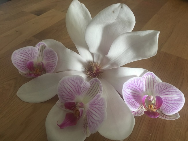 Desktop f10dc2db 2f16 483d 9caf 4372ff0f05ce