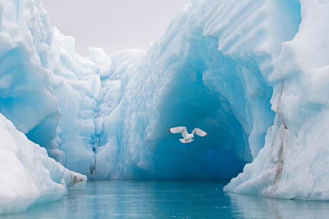 Desktop 01 arctic ocean kxwd6b.ngsversion.1553786136507.adapt.1900.1