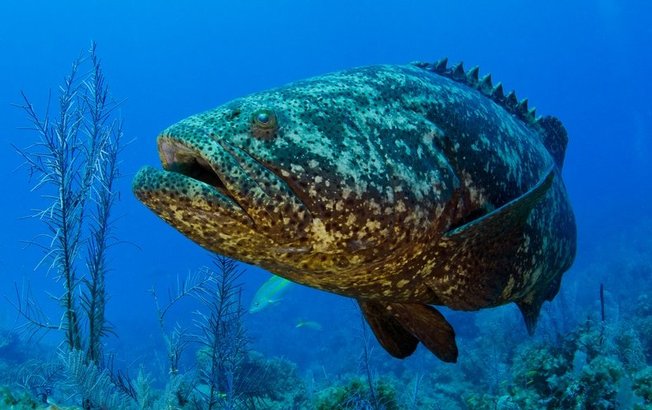 Desktop 7a606b69 88dc 4fca 95bc54c0b7e8ed91