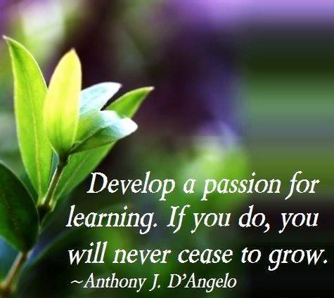 Desktop 57106673 1095442443960536 8573976469213020160 n