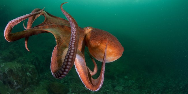 Desktop 5cb658045930d912d403dfea 2732 1366