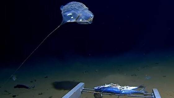 Desktop 6b23bb39e2186ed95638093b7cdbf4c8