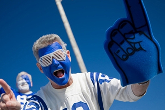 Desktop sports fan facepaint