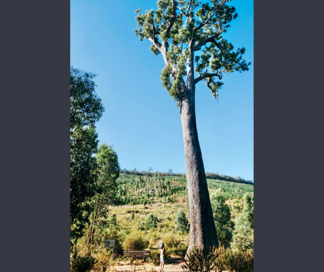 Desktop untitled design