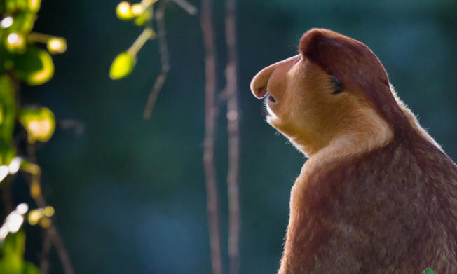 Desktop medium ww267478