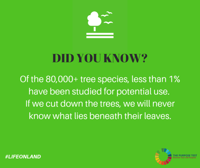 Desktop did you know 