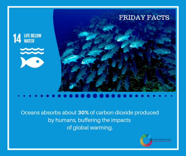 Desktop friday facts