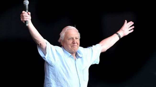 Desktop david attenborough