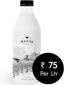 Desktop d024d4a9d44c4a1c8ba3ed535dbb915c