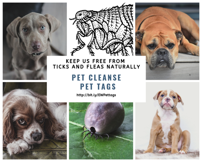 Desktop keep them free of ticks and fleas