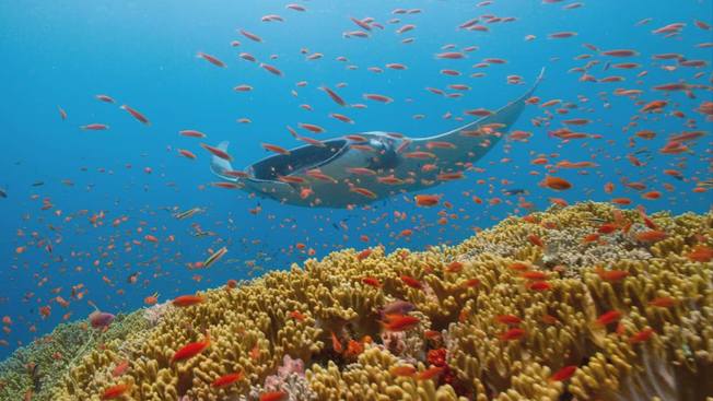 Desktop 88 glo 103 bp what is biodiversity locked desktop