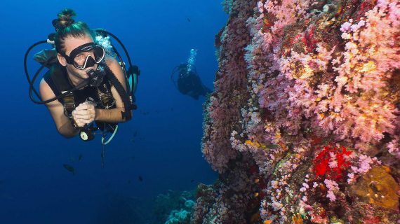 Desktop water temparture phuket diving 570x320