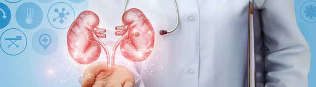 Desktop docib our services urology