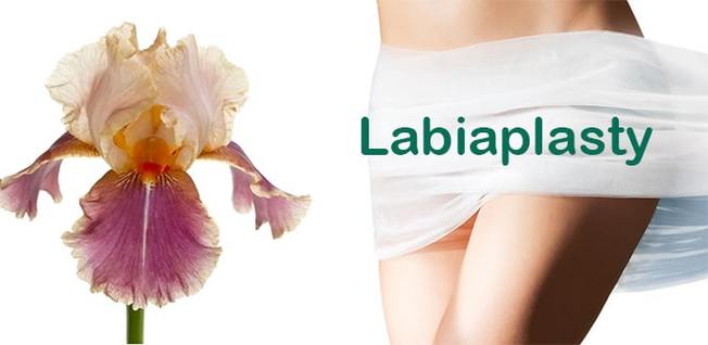 Desktop labiaplasty1