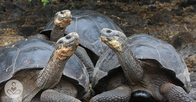 Desktop sep02 part01 08