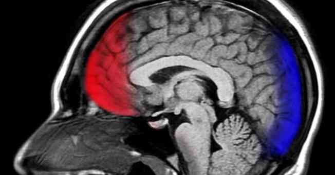 Desktop gratitude brain happier ft