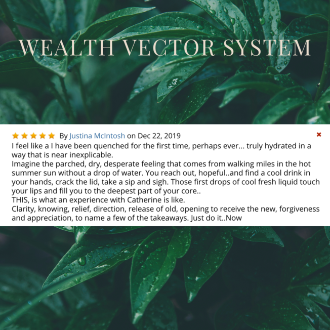 Desktop wealth vector system insta reviews