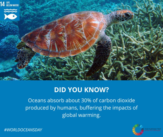 Desktop copy of purpose test  did you know