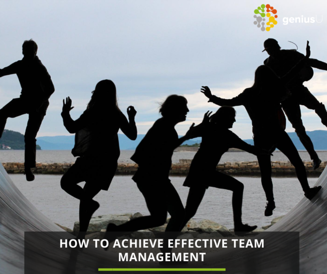 Desktop effective team maagement