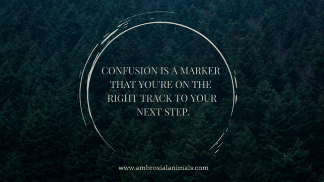 Desktop www.ambrosialanimals.com 3