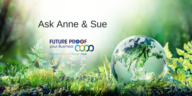 Desktop ask anne sue