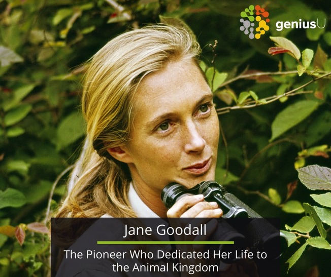 Desktop jane goodall