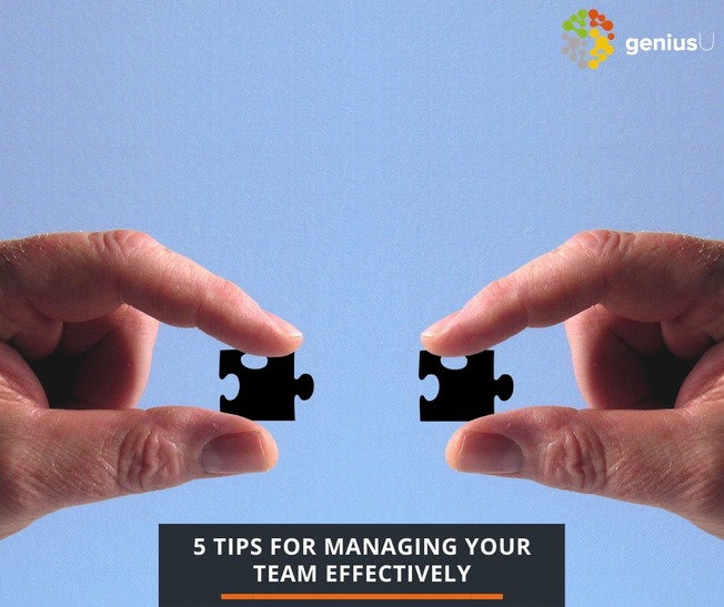 Desktop 5 tips for managing team effectively