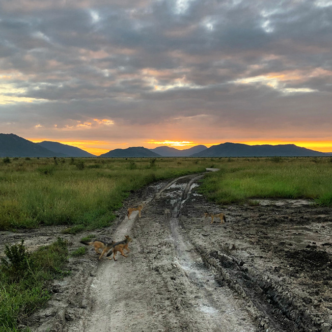 Desktop 0f1399ce eb7a 4d9f be17 cfbecddfbac5