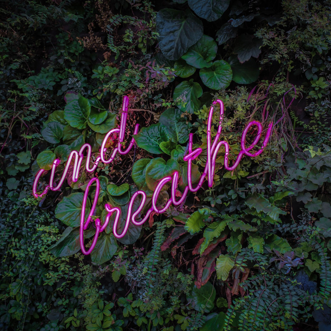 Desktop breathe