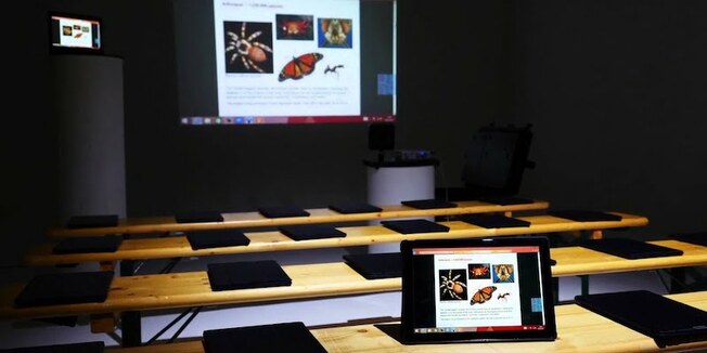 Desktop external content.duckduckgo 11