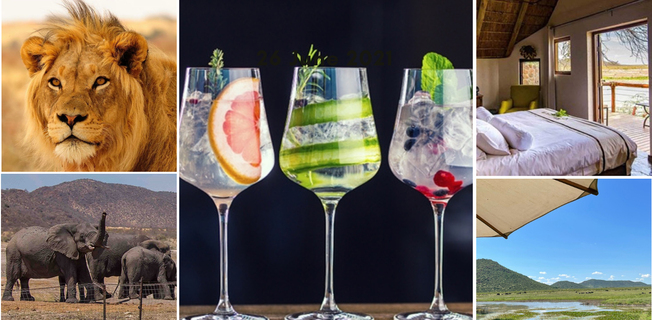 Desktop gin tasting 4 002