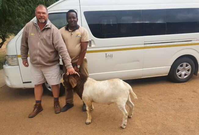 Desktop tau foundation