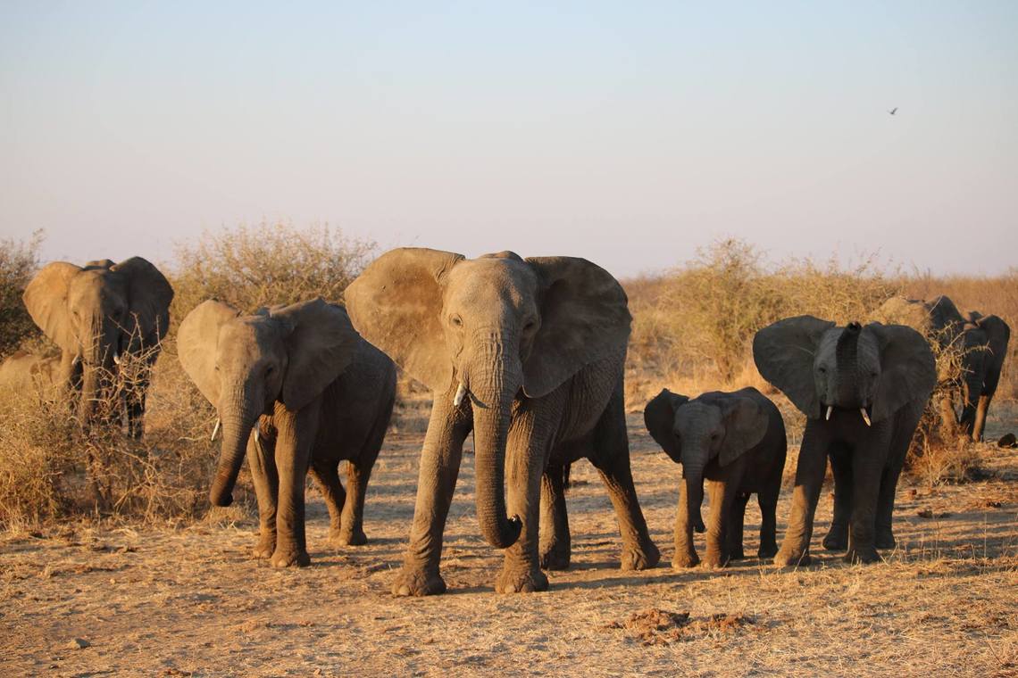 Desktop 20615755 10158918952560411 3630886769331768477 o