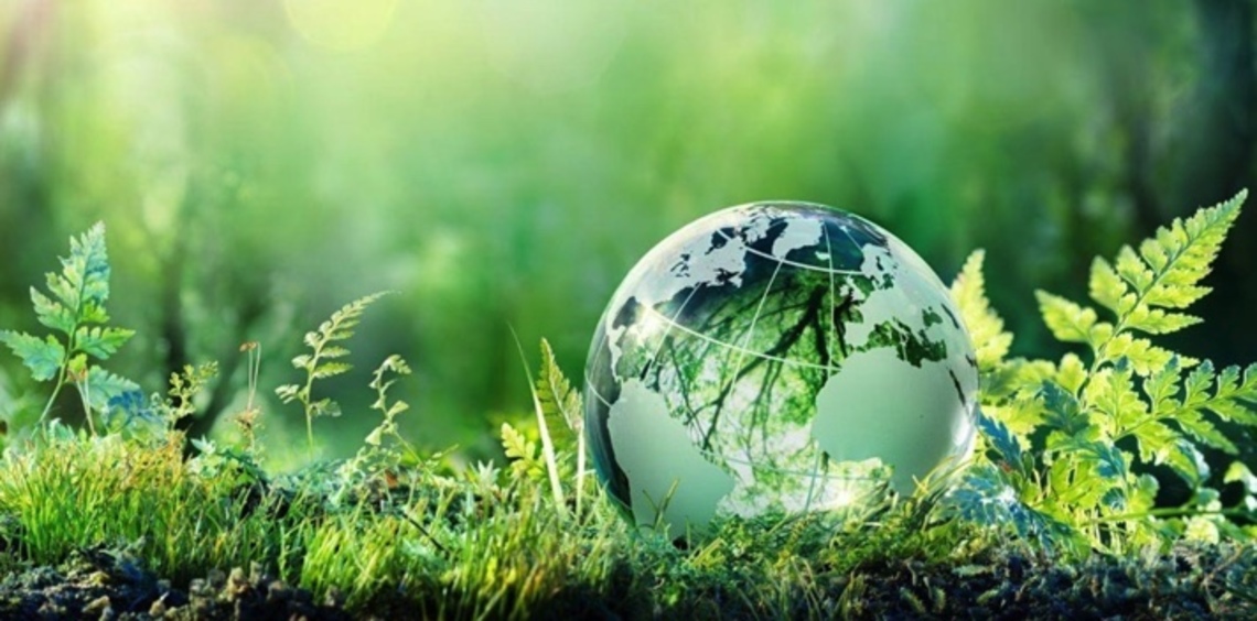 Desktop add16c89 d84b 4caa 9c1b e7507a759c31 4 5005 c