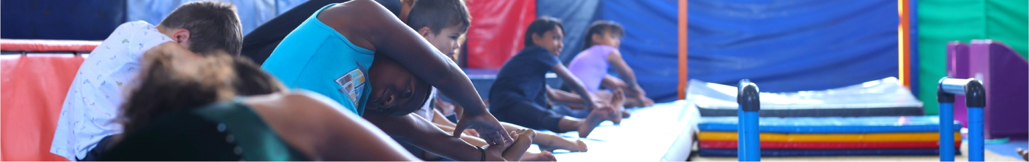 Gym wizards gw gu 2 nologo