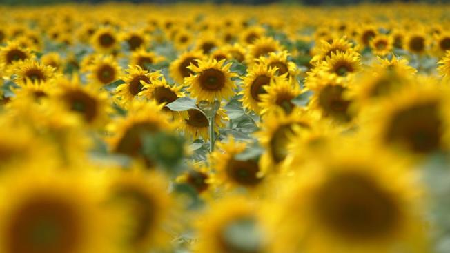 Desktop rtrg6go e1495573037281