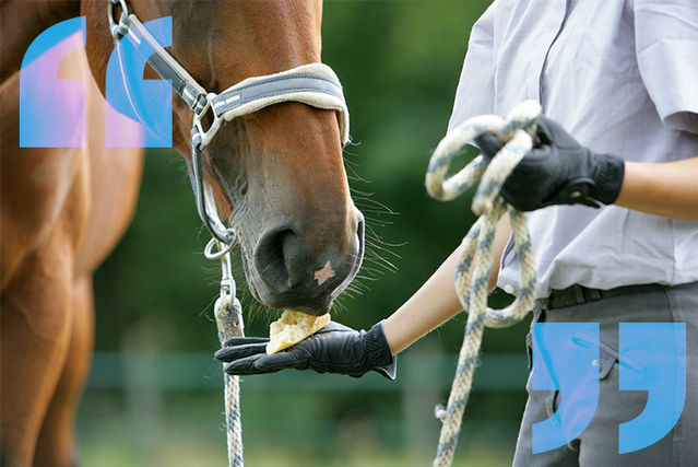 Desktop justify your identity