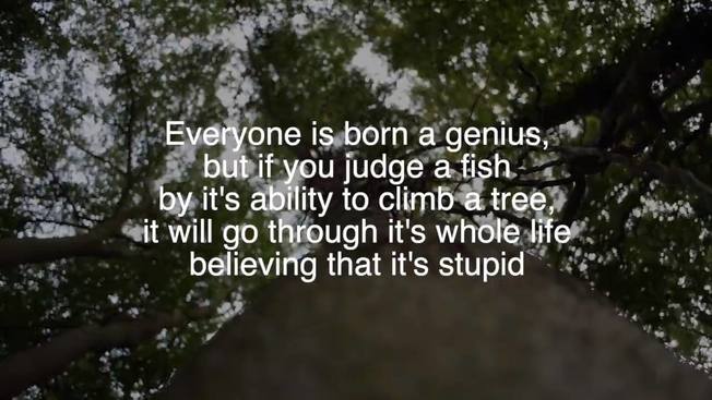 Desktop 52914810 307782809932395 876320680121991168 n